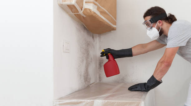 Professional Basement Mold Remediation technician working in Lancaster, VA