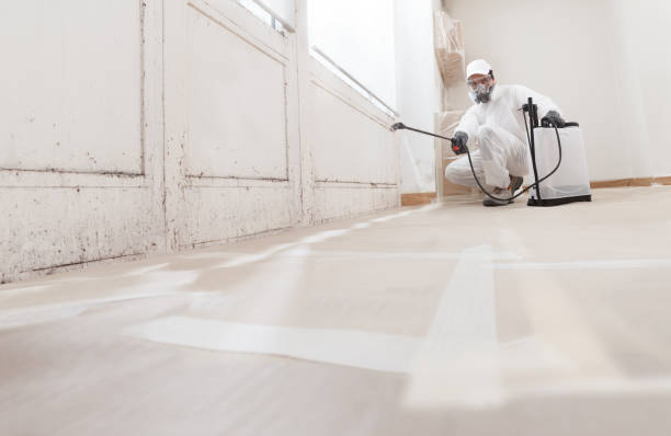 24/7 Emergency Basement Mold Remediation experts in Lancaster, VA