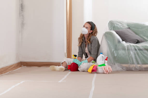 Reliable Basement Mold Remediation contractor in Lancaster, VA by WQB Mold Removal